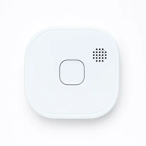 Smoke alarm